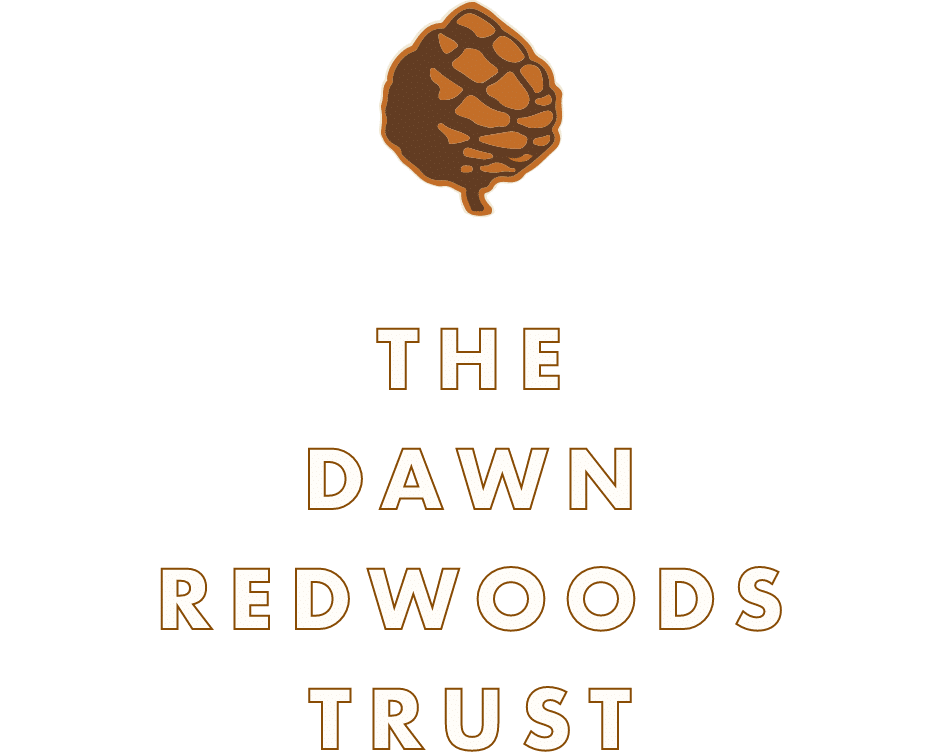 The Dawn Redwoods Trust