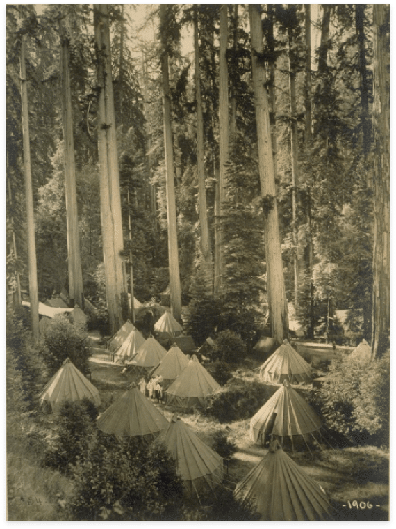 Huts in Redwoods