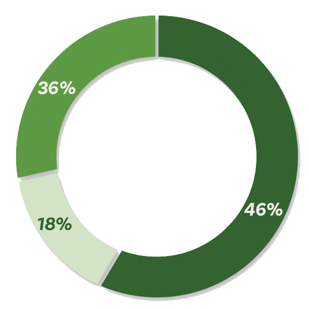 Individual Grants